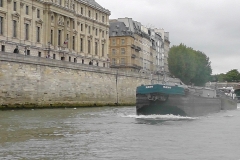 S1100049