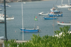 DSC04470