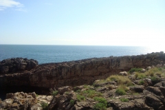 DSC04477