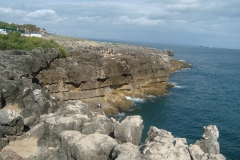 DSC04486