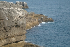 DSC04491