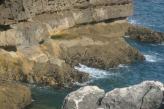 DSC04495