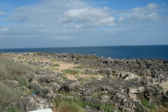 DSC04506
