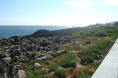 DSC04509