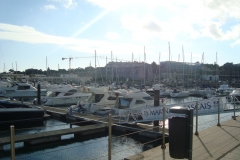 DSC04529