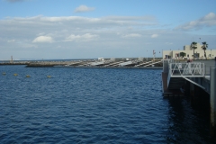 DSC04542