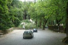 DSC03630