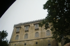 DSC03639