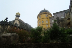 DSC03641