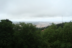 DSC03649