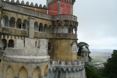DSC03650