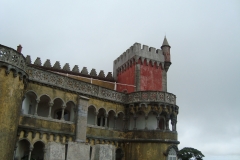 DSC03651