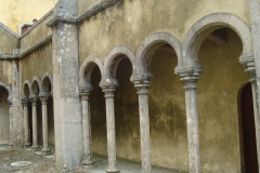 DSC03678