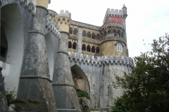 DSC03716