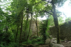 DSC03739