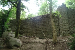 DSC03740