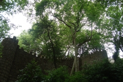 DSC03741