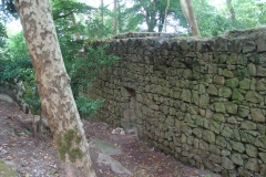 DSC03742