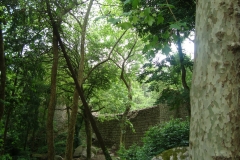 DSC03743