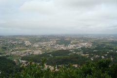 DSC03752