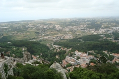 DSC03785