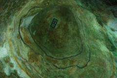 DSC04605