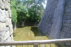 DSC02415