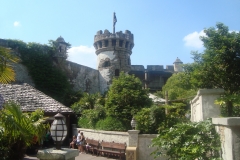 DSC05780