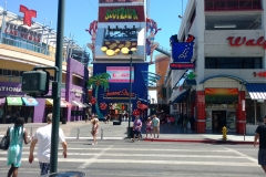 fremont10
