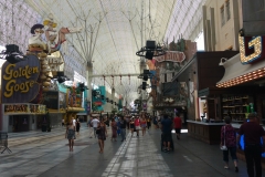 fremont9
