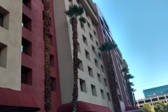 hotel1