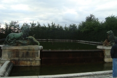 DSC04782