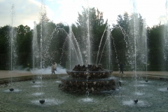 DSC04844