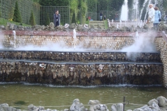 DSC04851