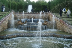 DSC04855