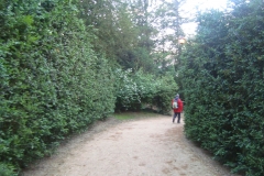 DSC04864