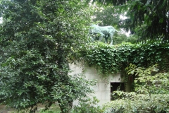 DSC04970