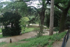 DSC04972
