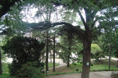 DSC04978