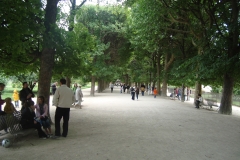 DSC04985