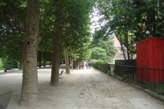 DSC04991