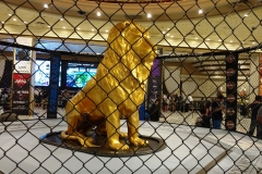 mgm3