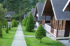 DSC01904