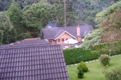 DSC01908