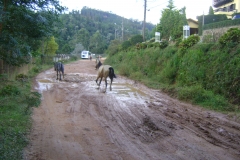 DSC01909