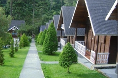 foto5