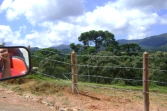 DSC01801