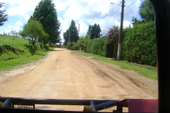 DSC01803