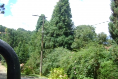 DSC01810