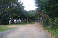 DSC01817